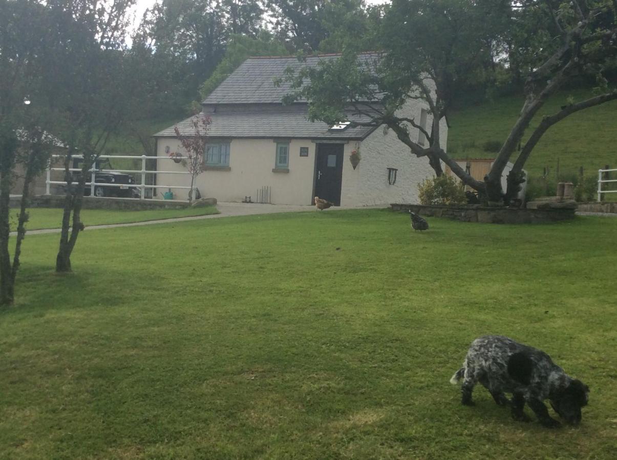 The Little Cow Shed Villa Swansea Luaran gambar